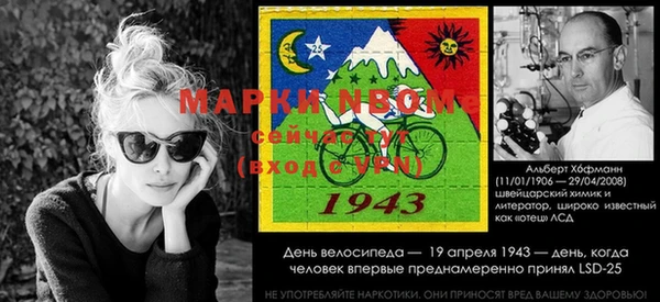 дживик Алзамай