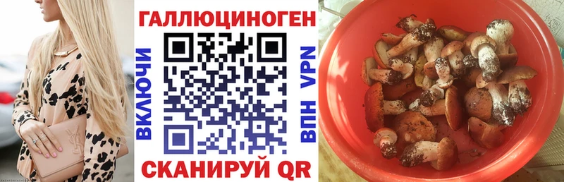 Галлюциногенные грибы мухоморы  где найти наркотики  Ардатов 